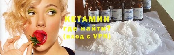 прущие грибы Новозыбков