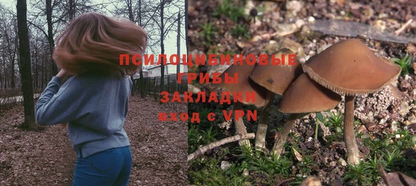 каннабис Новодвинск