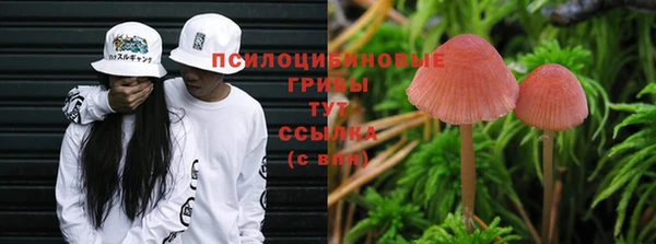 трава Нязепетровск