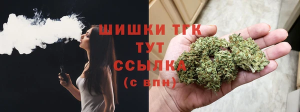 прущие грибы Новозыбков