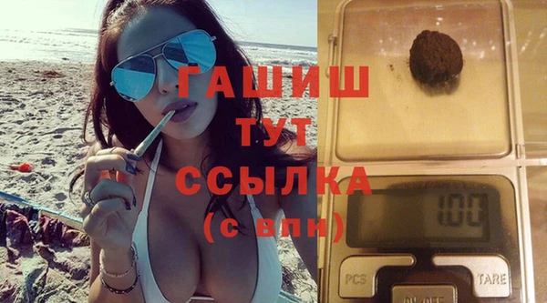 прущие грибы Новозыбков