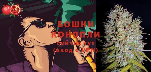 каннабис Новодвинск