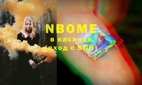 прущие грибы Новозыбков