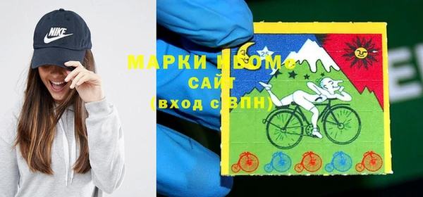 прущие грибы Новозыбков