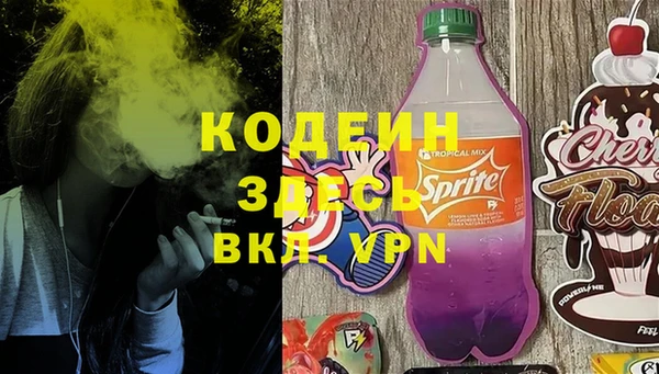 прущие грибы Новозыбков