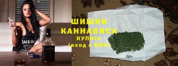 прущие грибы Новозыбков